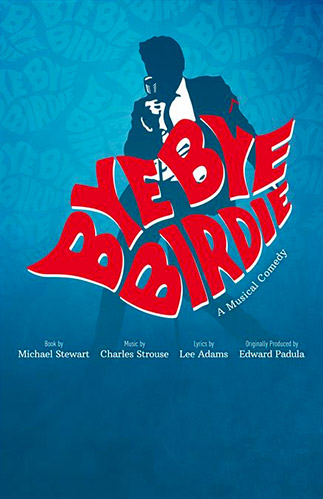 Bye Bye Birdie Poster